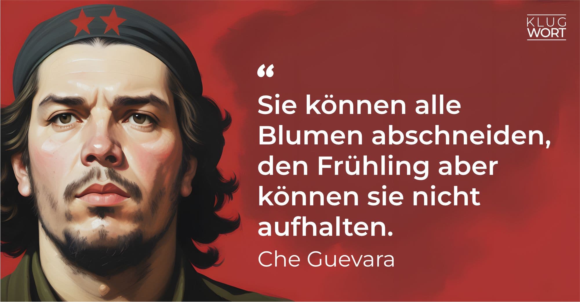 Bild von Che Guevara